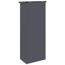 vidaXL Csomagzáró doboz tárolóval Antracit 44,5 x 29 x 110,5 cm Acél