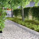 vidaXL Fűszegélyezés Ezüst 450 x 0,05 x 20 cm Rozsdamentes acél