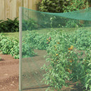 vidaXL Madárvédő háló Zöld 2 x 10 m Polietilén
