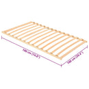 vidaXL Lécalap Barna 100 x 190 cm Tömör bükkfa