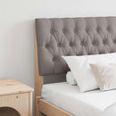 vidaXL Kárpitozott fejtámla Tópszínű 180 cm Tömör fenyőfa