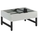 vidaXL Madár Etető Ezüst 80 x 28 x 13.5 cm Horganyzott acél