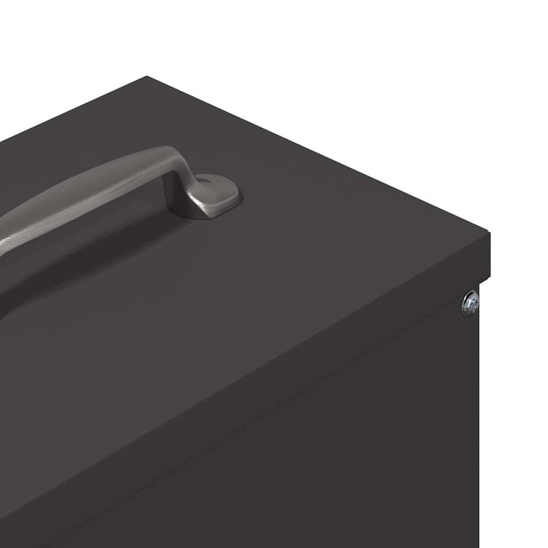 vidaXL Csirke etető Fekete 20 x 25 x 35 cm Hidegen Hengerelt Acél