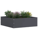 vidaXL Fűszegélyezés 6 pcs Antracit 40 x 40 x 13 cm Acél