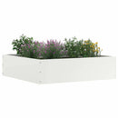 vidaXL Fűszegélyezés 6 pcs Fehér 50 x 50 x 13 cm Acél