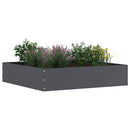vidaXL Fűszegélyezés Antracit 60 x 60 x 13 cm Acél