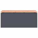 vidaXL Kerti pad Antracit 100 x 40 x 43 cm Acél