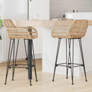 vidaXL Bárszék 2 pcs 55 x 52 x 105 cm Rattan és Vas