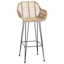 vidaXL Bárszék 2 pcs 55 x 52 x 105 cm Rattan és Vas