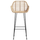 vidaXL Bárszék 2 pcs 55 x 52 x 105 cm Rattan és Vas