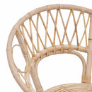 vidaXL Étkezőszék 2 pcs Rattan és Vas Természetes 54 x 65 x 82 cm