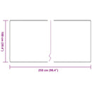 vidaXL Szőnyeg futó Világosszürke 100 x 250 cm 100% Polipropilén