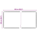 vidaXL Szőnyeg futó Fekete 100 x 250 cm 100% Polipropilén Tuftr