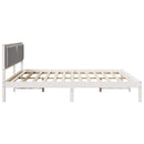 vidaXL Ágykeret fejtámlával Világosszürke 200 x 200 cm Tömör fenyőfa