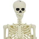 vidaXL Halloween Dekoráció Skeleton 2 pcs Fehér Polipropilén