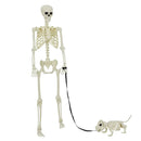 vidaXL Halloween Dekoráció Skeleton 2 pcs Fehér Polipropilén