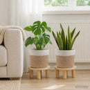 vidaXL Növényi Cserép Készlet 2 db Természetes és Fehér Ø 21 x 21 cm