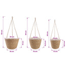 vidaXL Tengeri fű növénytartók 3 pcs Természetes Ø26 x 19 cm