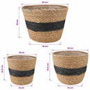 vidaXL Tengeri fű növénytartók 3 pcs Természetes és Fekete Ø26 x 19 cm