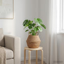 vidaXL Kézi növényedény Természetes Ø 22 x 20 cm 100% Tengeri fű