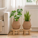 vidaXL Kézi növényedény 2 db Természetes Ø 22 x 20 cm 100% Tengeri fű