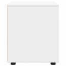 vidaXL Tárolószekrény Fehér 60 x 48 x 57 cm Faanyag