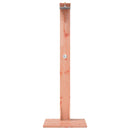 vidaXL Kültéri zuhany 214,5 cm Természetes