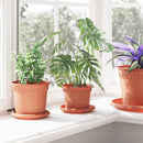vidaXL Növénycserép 6 pcs Tégla Vörös Ø 12,5 x 10 cm Műanyag