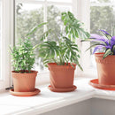 vidaXL Növénycserép 6 pcs Tégla Vörös Ø 15 x 12 cm Műanyag