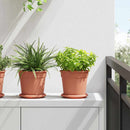 vidaXL Növénycserép 6 pcs Tégla Vörös Ø 17 x 14 cm Műanyag