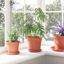vidaXL Növénycserép 6 pcs Tégla Vörös Ø 17 x 14 cm Műanyag