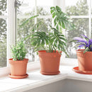 vidaXL Növénycserép 6 pcs Tégla Vörös Ø 19 x 16 cm Műanyag