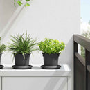 vidaXL Növénycserép 6 pcs Fekete Ø 12,5 x 10 cm Műanyag