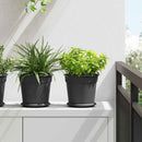 vidaXL Növénycserép 6 pcs Fekete Ø 19 x 16 cm Műanyag