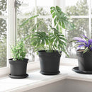vidaXL Növénycserép 6 pcs Fekete Ø 19 x 16 cm Műanyag