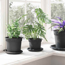 vidaXL Növénycserép 24 pcs Fekete Ø 12,5 x 10 cm Műanyag