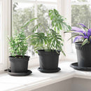 vidaXL Növénycserép 24 pcs Fekete Ø 15 x 12 cm Műanyag
