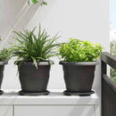 vidaXL Növénycserép 6 pcs Fekete Ø 22 x 18 cm Műanyag