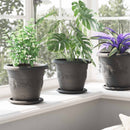 vidaXL Növénycserép 24 pcs Fekete Ø 22 x 18 cm Műanyag