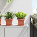 vidaXL Növénycserép 6 pcs Tégla Vörös 20 x 20 x 16 cm Műanyag