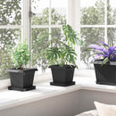 vidaXL Növénycserép 24 pcs Fekete 16 x 16 x 14 cm Műanyag