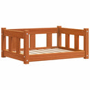 vidaXL Kutyafekhely Faggyú barna 65,5 x 50,5 x 28 cm Tömör fenyőfa