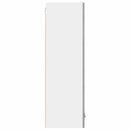 vidaXL Függő szekrény Riga Szürke Sonoma 40 x 31 x 100 cm Faanyag