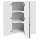 vidaXL Mosogatógép panel Kalmar Öreg fa 57 x 57 x 80 cm Faanyag