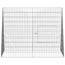 vidaXL Nyúl Ketrec Ezüst 215 x 100 x 85 cm Horganyzott acél