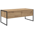 vidaXL Dohányzóasztal Művészi tölgy 100 x 46 x 40 cm Faanyag