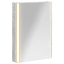 vidaXL Fürdőszobai tükörszekrény Szürke Sonoma 43 x 11,5 x 60,5 cm
