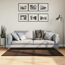 vidaXL Közepes szálú, puha és mosható szőnyeg HUARTE Barna 150 x 80 cm