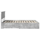 vidaXL Ágykeret fejtámlával fiókkal Beton Szürke 120 x 190 cm Faanyag