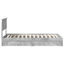 vidaXL Tárolós Ágy fejtámlával Beton Szürke 70 x 190 cm Faanyag